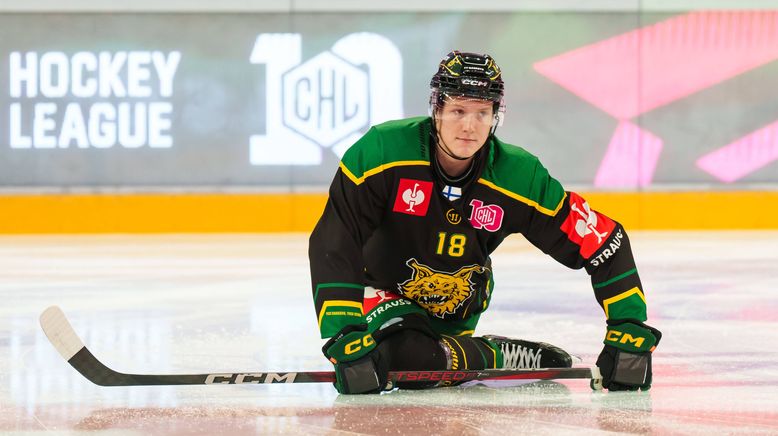 Eishockey - Svenska Hockeyligan