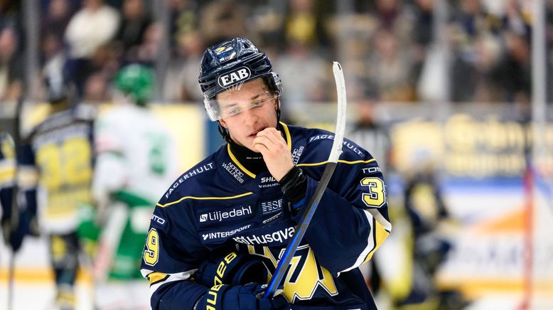 Eishockey - Svenska Hockeyligan