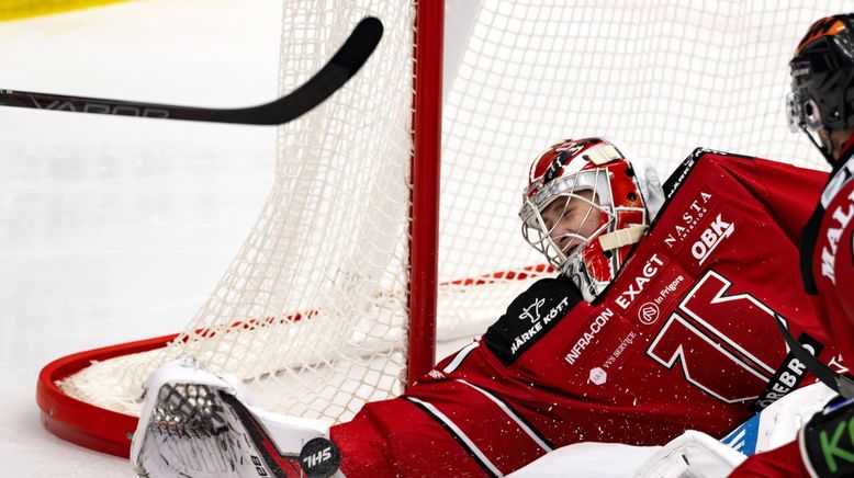 Eishockey - Svenska Hockeyligan