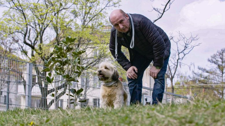 Tierische Augenblicke