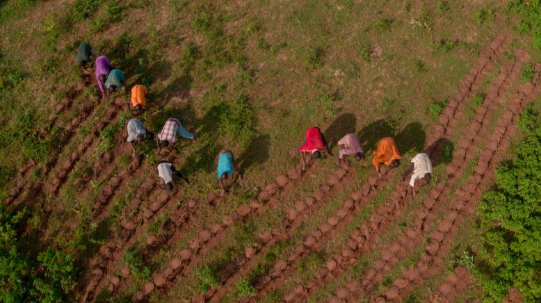 Afrikas Grüne Mauer - Mit Bäumen gegen die Wüste