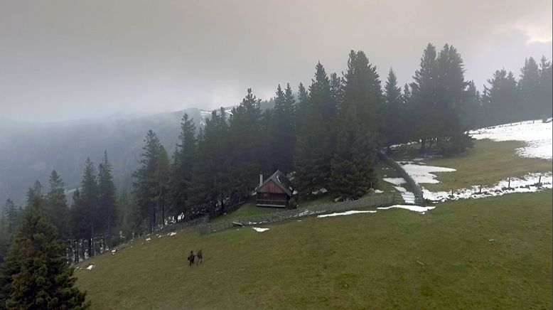 Wenn es Herbst wird auf der Alm