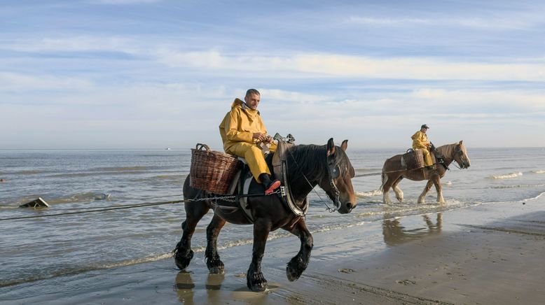 Leben an der Nordsee