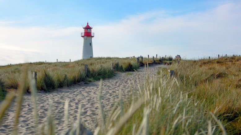 Leben an der Nordsee