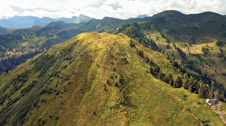 Almleben im Ennstal - Ein Jahr auf der Riesneralm