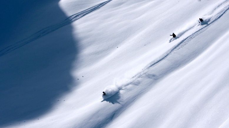 Almleben im Ennstal - Ein Jahr auf der Riesneralm