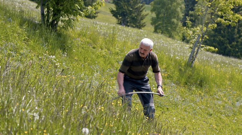 Almleben im Ennstal - Ein Jahr auf der Riesneralm