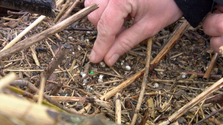 Achtung Mikroplastik - Wie Kunststoffe alles ruinieren