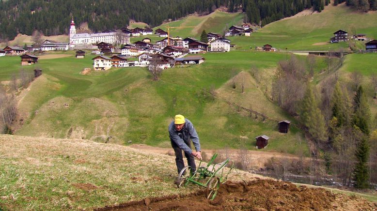 Bauernleben - Bauernsterben