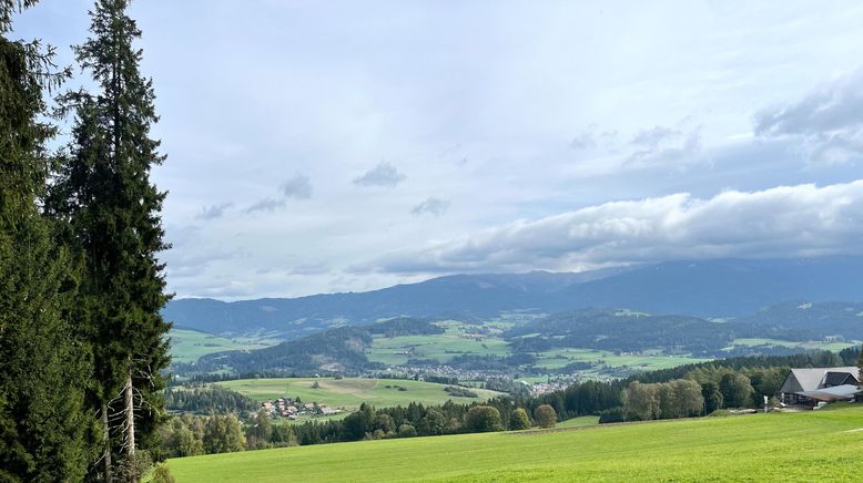 Zurück zur Natur