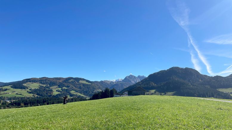 Zurück zur Natur