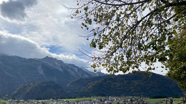 Zurück zur Natur