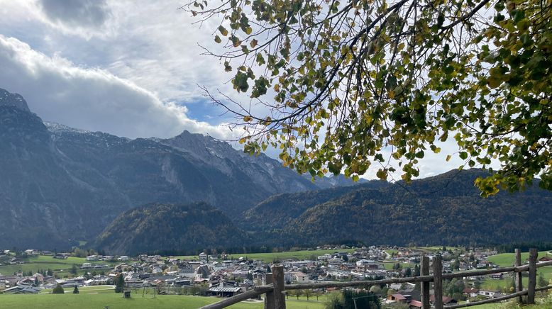 Zurück zur Natur