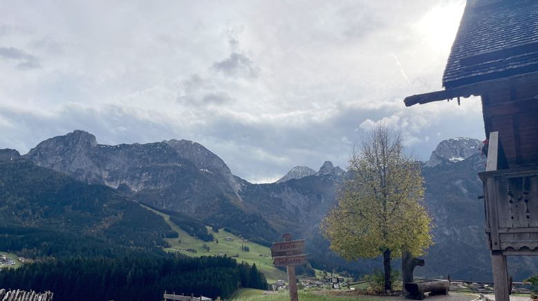 Zurück zur Natur