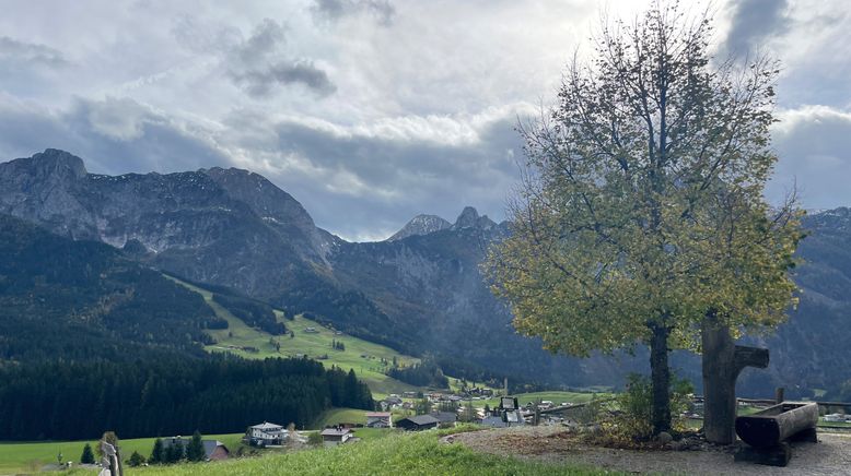 Zurück zur Natur