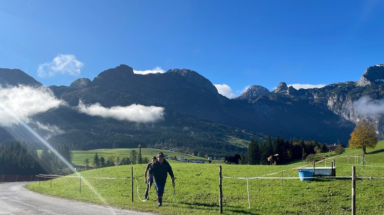 Zurück zur Natur