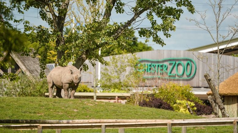 Zoo und so - Tierisch wild!