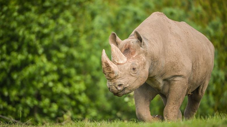 Zoo und so - Tierisch wild!