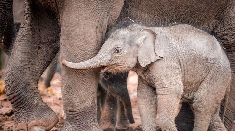 Zoo und so - Tierisch wild!