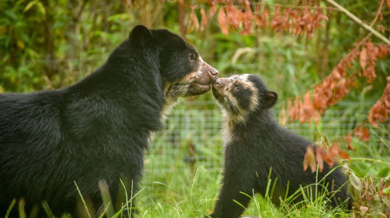 Zoo und so - Tierisch wild!