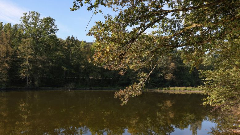 Wunderschön! Indian Summer im Siegerland