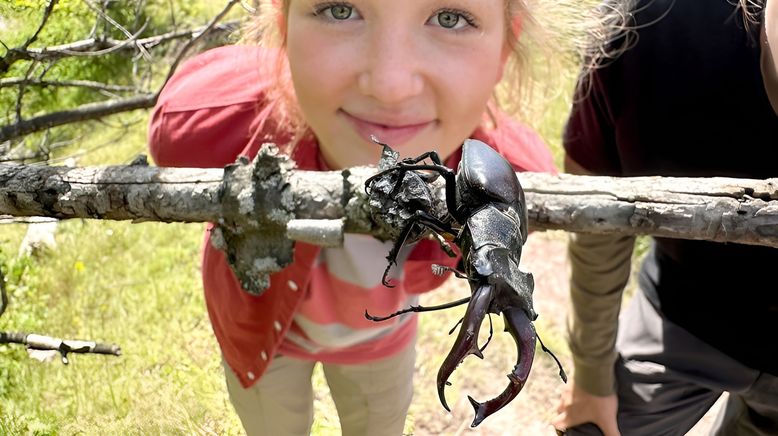 Nina und die wilden Tiere