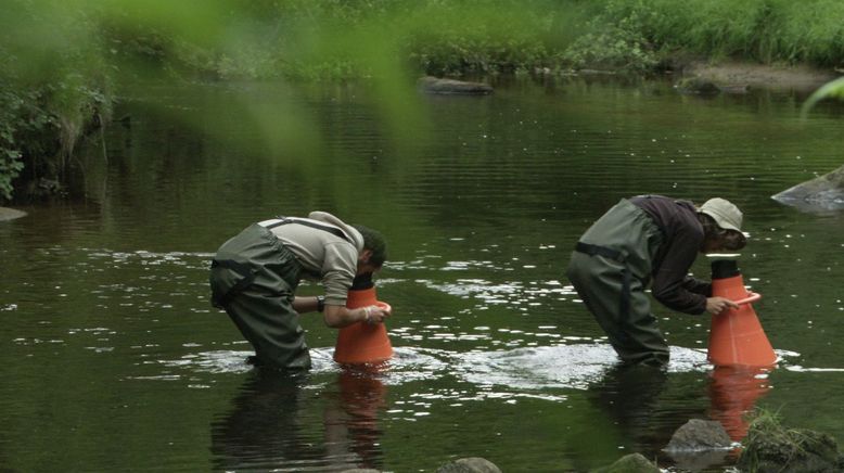 La ligne de partage des eaux