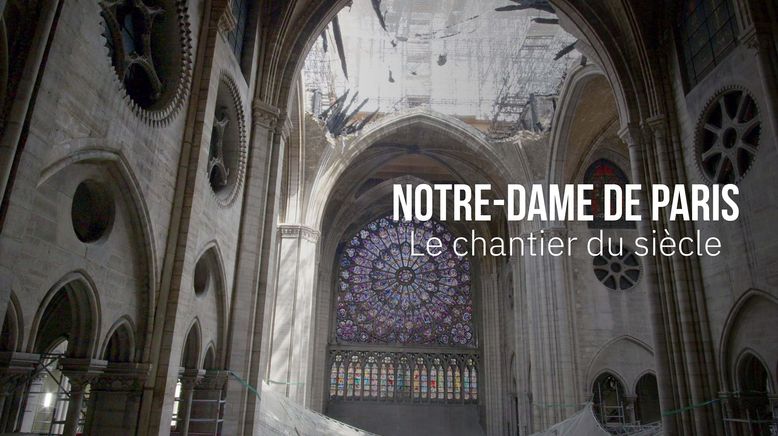 Notre-Dame, die Jahrhundertbaustelle