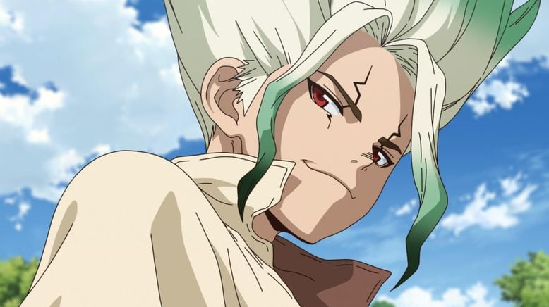 Dr. Stone