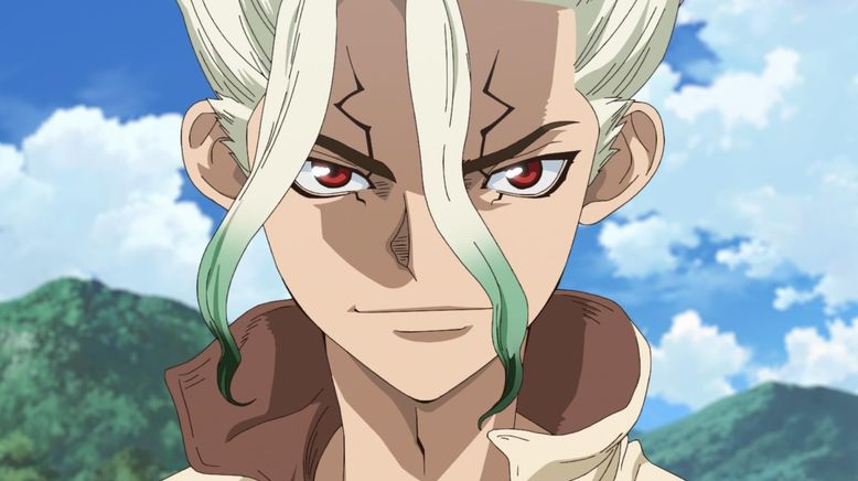 Dr. Stone