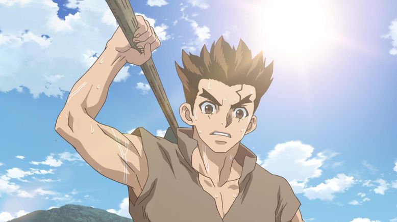 Dr. Stone