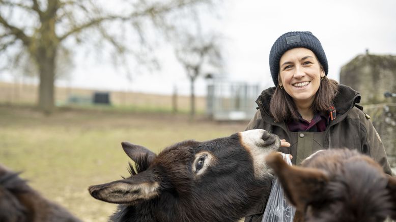 Landfrauenküche im Advent