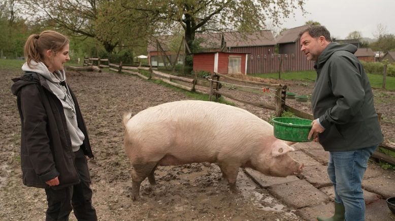 Martin Rütters Tierheimhelden