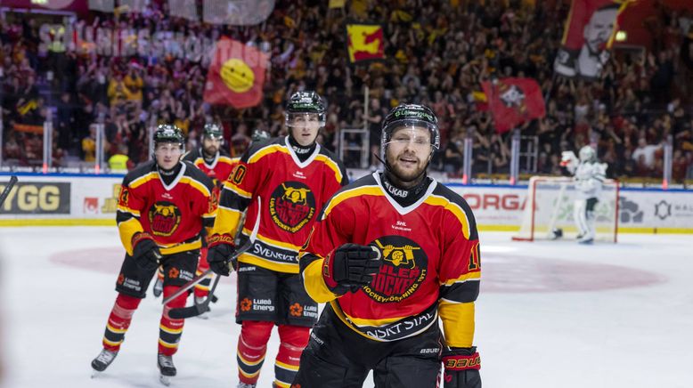 Eishockey - Svenska Hockeyligan