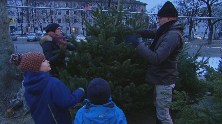 Alle Jahre wieder: Abenteuer Christbaumkauf