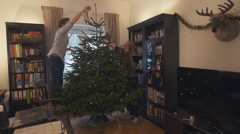 Alle Jahre wieder: Abenteuer Christbaumkauf