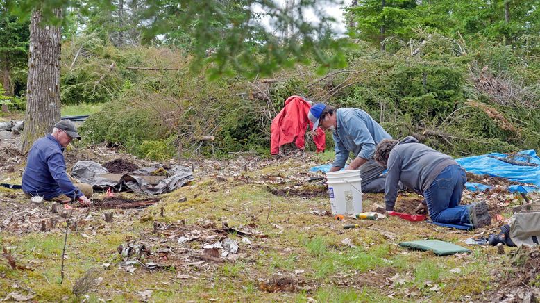 Die Schatzsucher von Oak Island