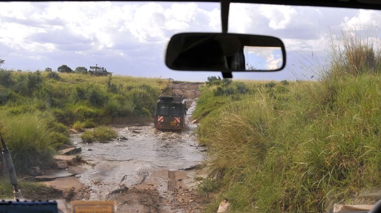 Hyänen - Die Königinnen der Masai Mara