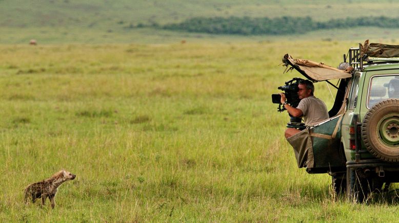 Hyänen - Die Königinnen der Masai Mara