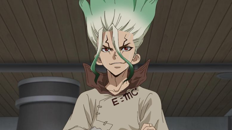 Dr. Stone