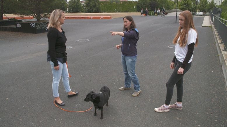 Der Hundeprofi - Rütters Team