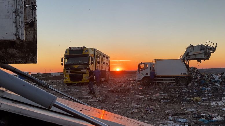 Tiertransporte: Gefangen zwischen Grenzen