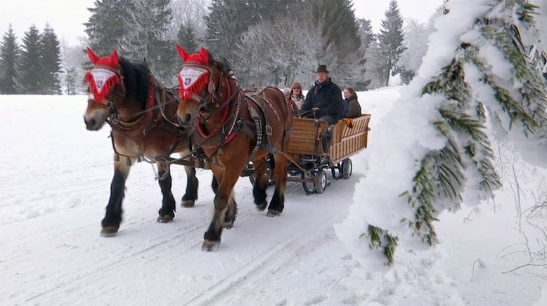 Lust auf Schnee