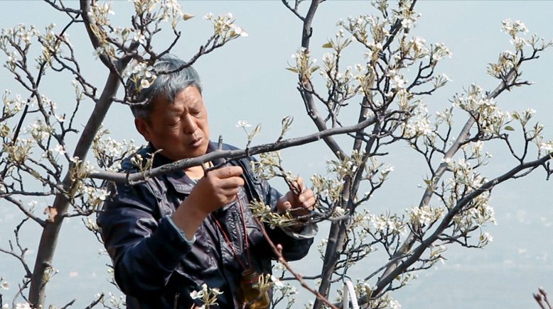 China - Lautlos liegt das Land