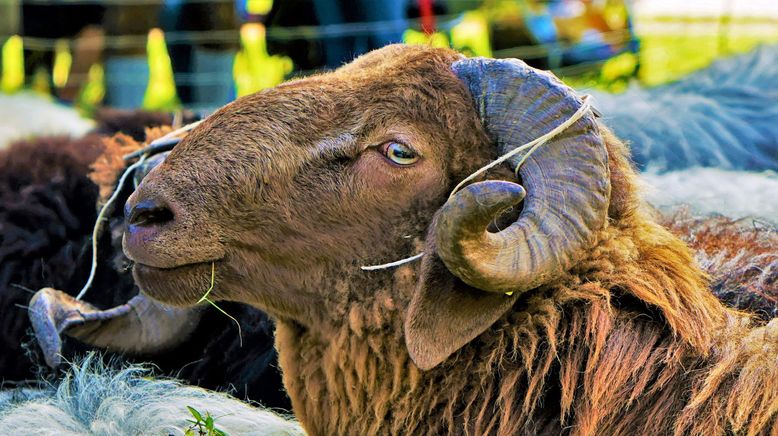 Durch das bayerische Alpenland