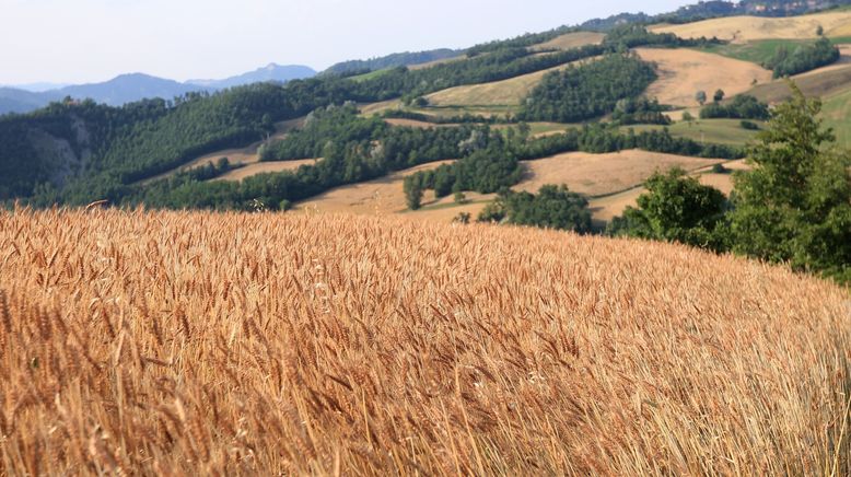 Traumorte - Emilia Romagna