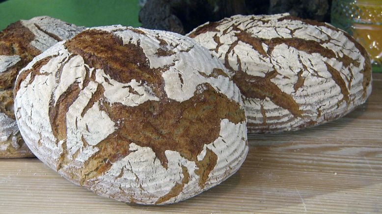 Brot - Zeit, von der Kunst des Brotbackens