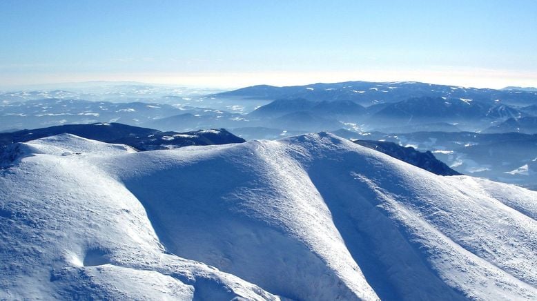 Winter-Wildnis - Überleben in Kälte und Schnee