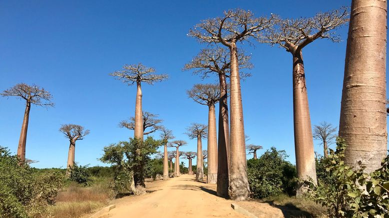 Unbekanntes Madagaskar