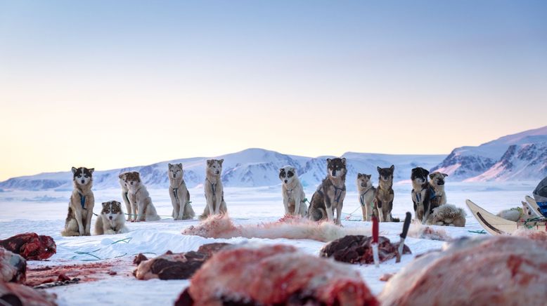 Grönland - Leben mit den Inuit